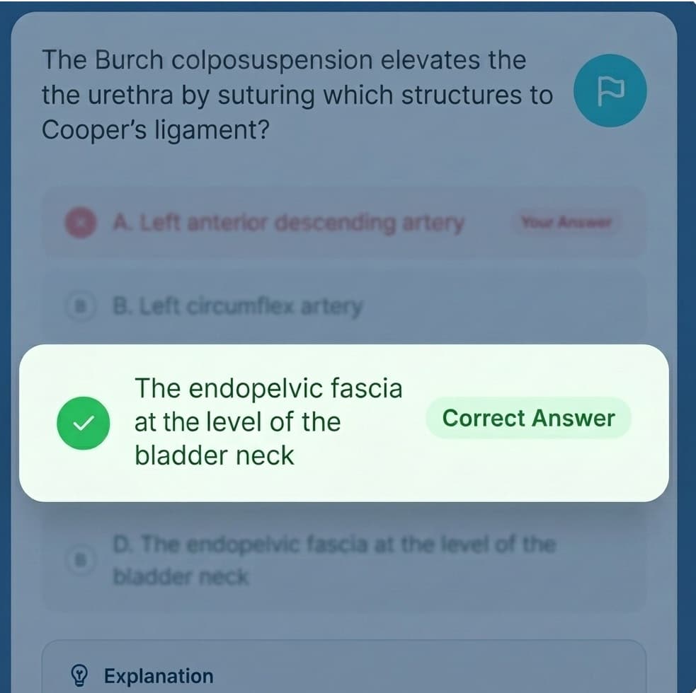 Immediate Answer Feedback preview